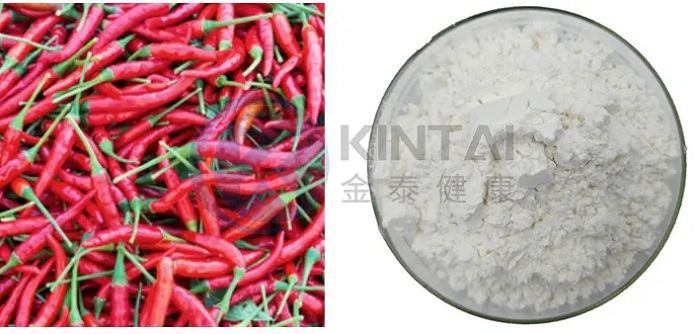 Capsaicin Capsaicin