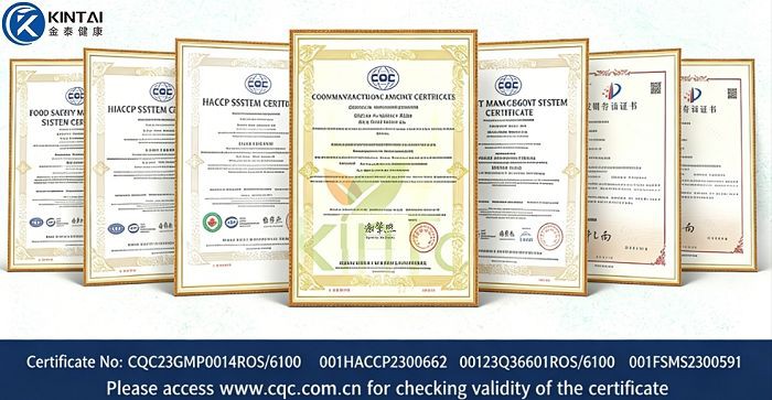 Where to Buy High-Purity Stevia Leaf Extract for Dogs? Where to Buy High-Purity Stevia Leaf Extract for Dogs?