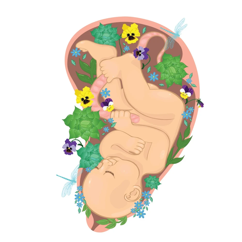 Methylfolate reduces risks of embryonic abnormalities