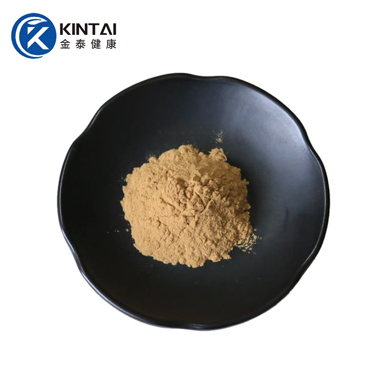 Lemon Balm Extract Powder