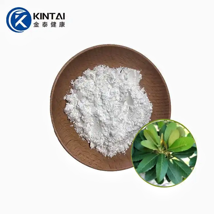 Loquat Leaf Extract