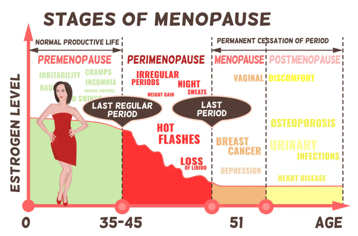 Menopause Menopause