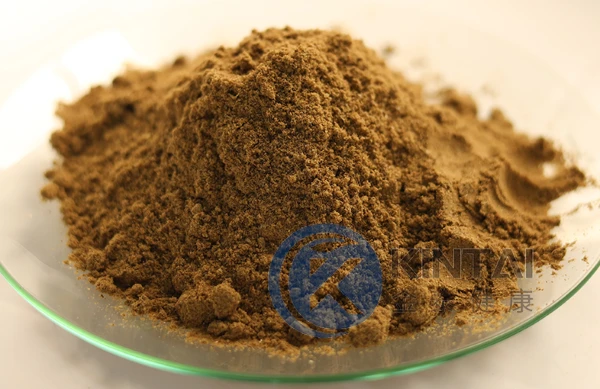 What Is Echinacea Purpurea Extract? What Is Echinacea Purpurea Extract?