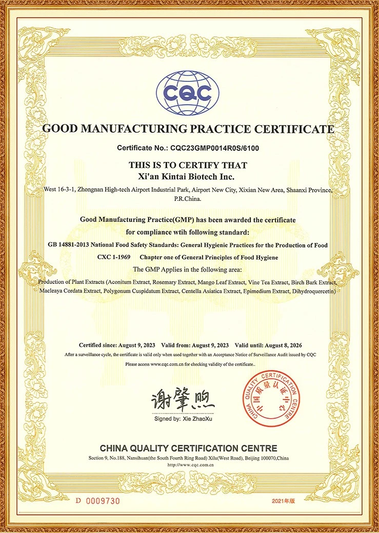 Kintai GMP Kintai GMP