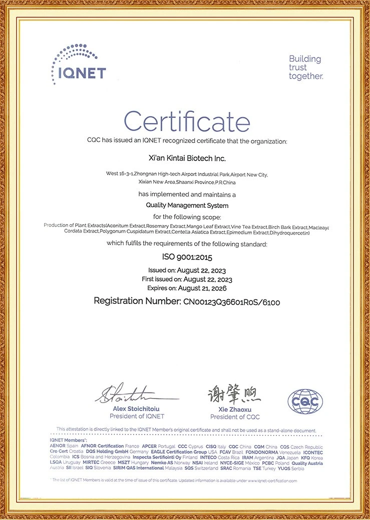 Kintai IQNET ISO 90012015 Kintai IQNET ISO 90012015