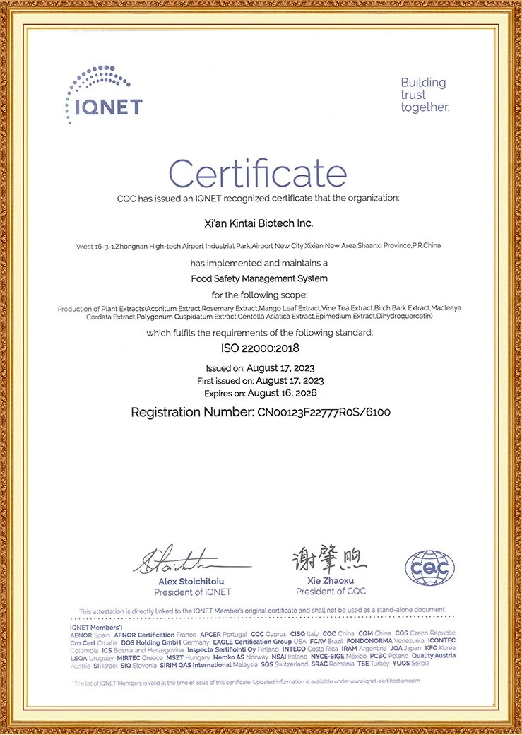 Kintai IQNET ISO 90012018 Kintai IQNET ISO 90012018