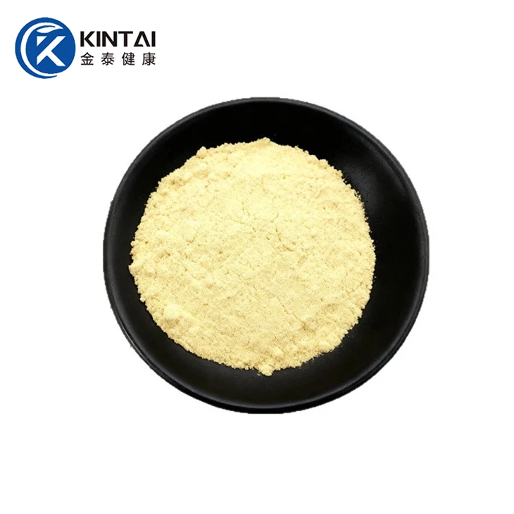 Panax Notoginseng Extract Powder