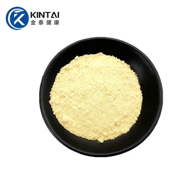 Panax Notoginseng Extract Powder