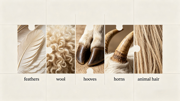 Where Does Hydrolyzed Keratin Come From? Where Does Hydrolyzed Keratin Come From?