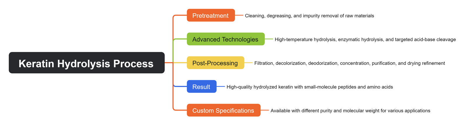 Keratin Hydrolysis Process Keratin Hydrolysis Process