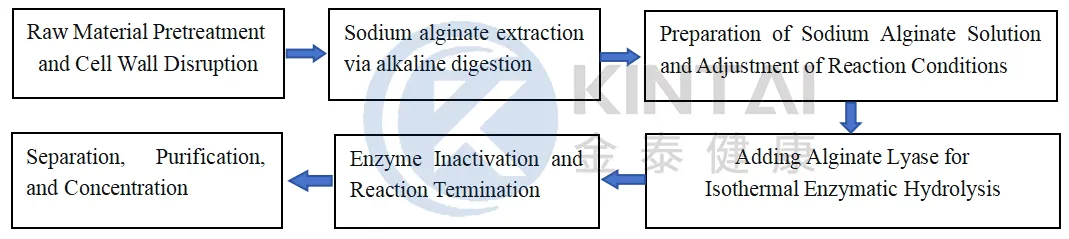 How To Make Alginate Oligosaccharide? How To Make Alginate Oligosaccharide?