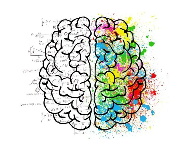 Sialic Acid Neu5Ac For The Brain Sialic Acid Neu5Ac For The Brain