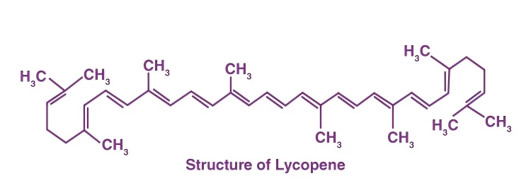 Lycopene structure Lycopene structure
