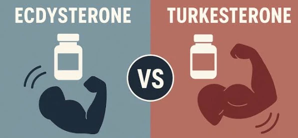 Ecdysterone Vs Turkesterone Ecdysterone Vs Turkesterone