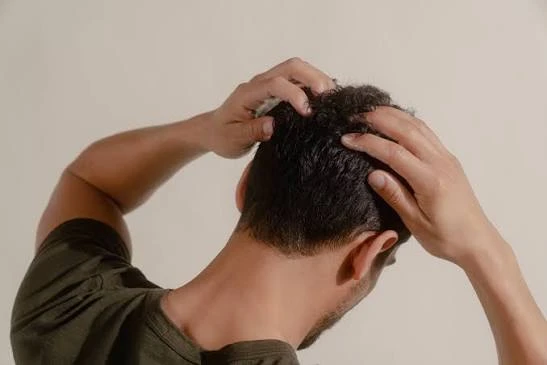 Jiaogulan for Hair Loss Jiaogulan for Hair Loss