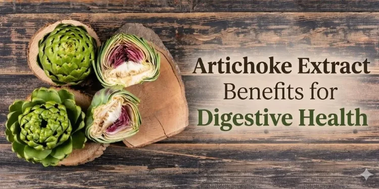 Artichoke Leaf Extract Motility Artichoke Leaf Extract Motility