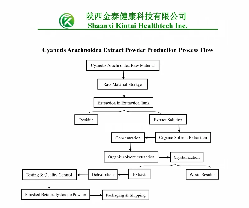 Cyanotis Arachnoidea Extract Powder Production Process Flow Cyanotis Arachnoidea Extract Powder Production Process Flow