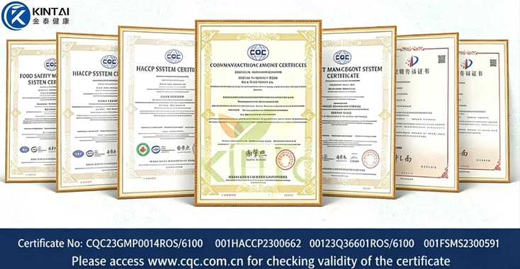 Our certifications Our certifications