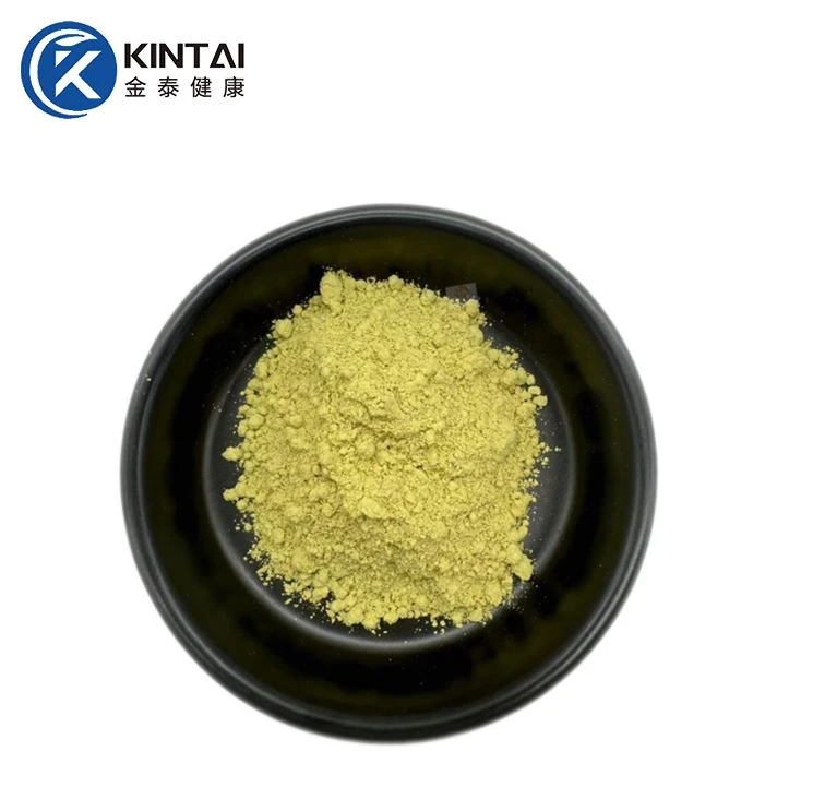 Rutin Powder