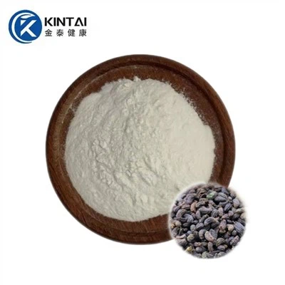 Fructus Ligustri Lucidi Extract