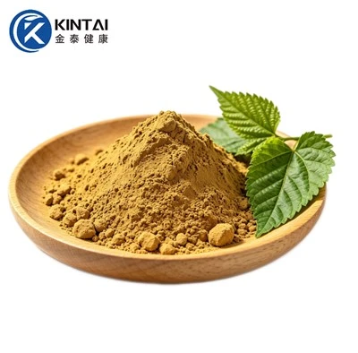 Mulberry Leaf Extract Powder