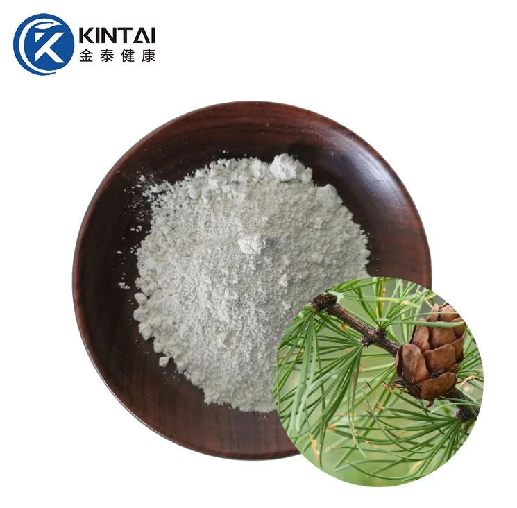 Taxifolin Dihydroquercetin Powder